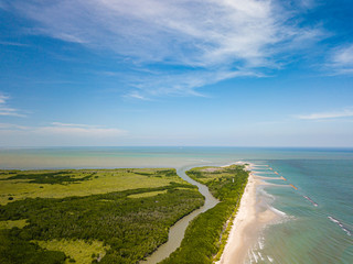 Aerial view of estuary,River in mangrove forest.
