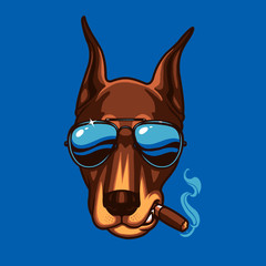 COOL DOG 1
