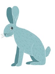 sitting hare with big ears