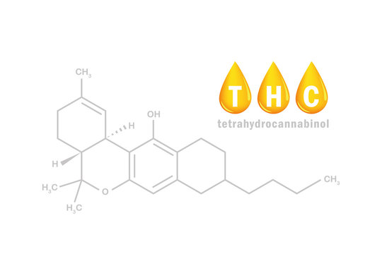 thc oil tetrahydrocannabinol chemical formula with drop vector illustration EPS10