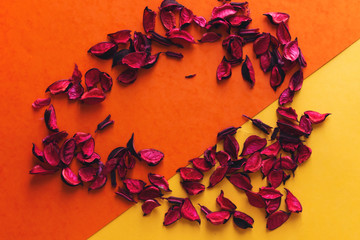 Dried Petals Of Red Roses on yellow and orange background
