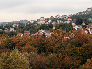Fototapeta premium Private houses on a background of beautiful autumn trees