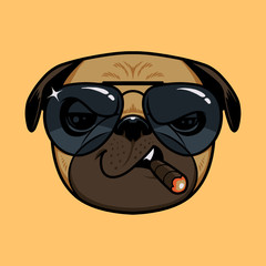 Naklejka premium COOL DOG 2