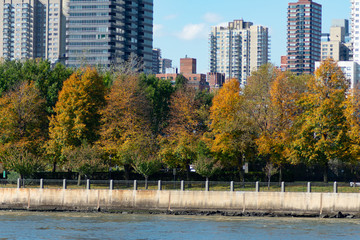 Obraz premium Colorful Autumn Trees on the Shore of Roosevelt Island with the Upper East Side Skyline in the background in New York City