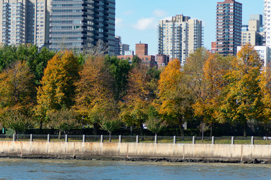 Colorful Autumn Trees on the Shore of Roosevelt Island with the Upper East Side Skyline in the background in New York City