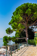 Lungomare sea walkway in Town of Opatija on sunny summer day, Kvarner bay of Croatia