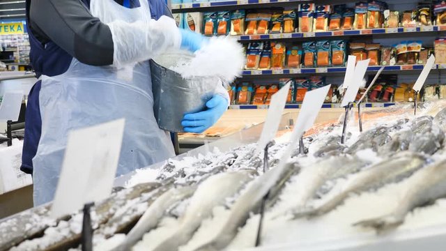 Fish supermarket. Closeup shot of fishmonger throwing crushed ice on veriety of fish placed on grocery shelves. Close up. Shot in 4k