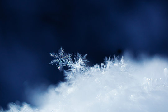 Snowflakes close-up. Macro photo. The concept of winter, cold, beauty of nature. Copy space...