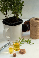 Rosemary essential oil for cooking and skin care