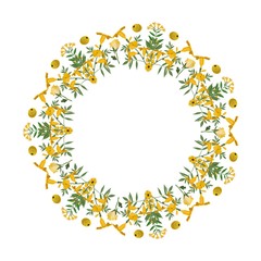 Vector wreath of colors on white background