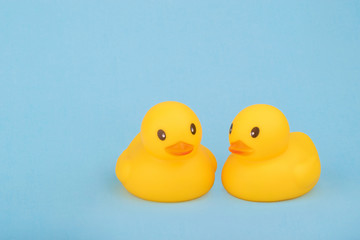 bath yellow rubber ducks on blue background