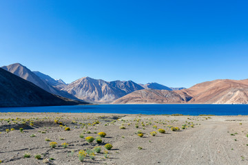 Scenic view of Pangong Lake or Pangong Tso in Ladakh, India 