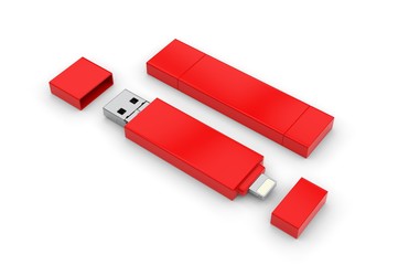 Blank  Memory Stick and Flash Drive For Promotional Branding. 3d render illustration. 