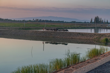 bridge over the river