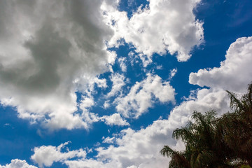 Céu & Nuvens IMG_0185