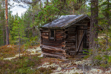 Old little timbered cottage deep in the forrest.