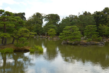 Fototapeta na wymiar Giappone - Kyoto ( giardino Pagoda d'oro)