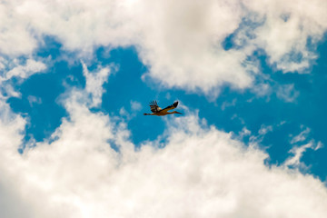 Fototapeta na wymiar stork furrowing the sky