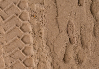 Footprints of man, car and dog in the sand