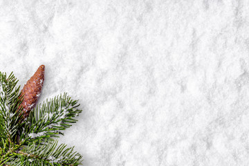 Christmas snow background, composition with christmas fir branch and pine cone, top view, flat lay