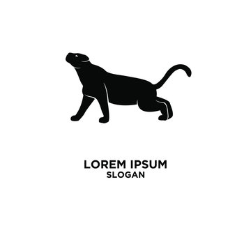 leopard logo icon design vector illustration