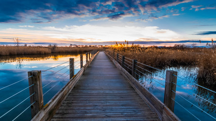 Obraz premium Pont de bois au milieu d'un étang en Camargue, France.