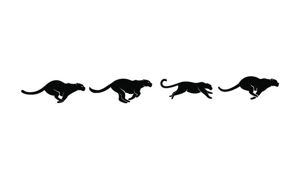 set of leopard logo icon design vector illustration