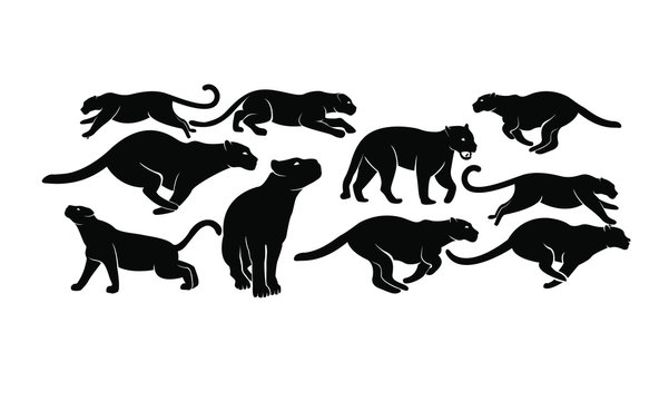 set of leopard logo icon design vector illustration