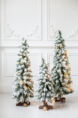 Three decorated firs stand in middle of living room