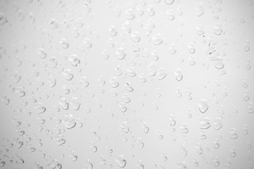 Raindrop water dew drop on glass wet white gray blue background.