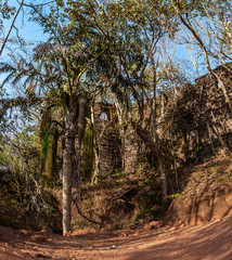 Panorama of Ruins of Yashwantgad Fort. Old walls covered by trees, Redi, Maharashtra