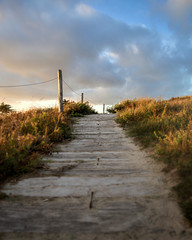 wooden train through dune at golden hour