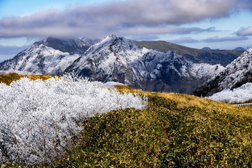 石鎚山 風景
