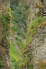 Fallen debris and trees in the Kitzlochklamm, a deep gorge near Zell am See