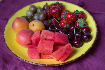 Obstteller I