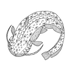 Sheatfish poster. Hand drawn coloring page. Stock vector illustration.