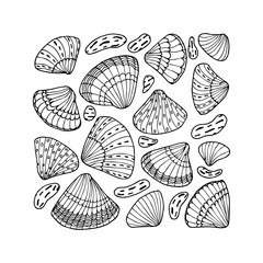 Shells poster. Hand drawn coloring page. Stock vector illustration.