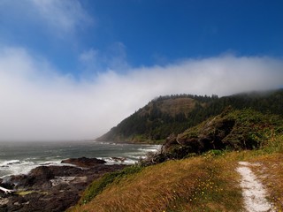 Naklejka premium Oregon Coastline at dawn