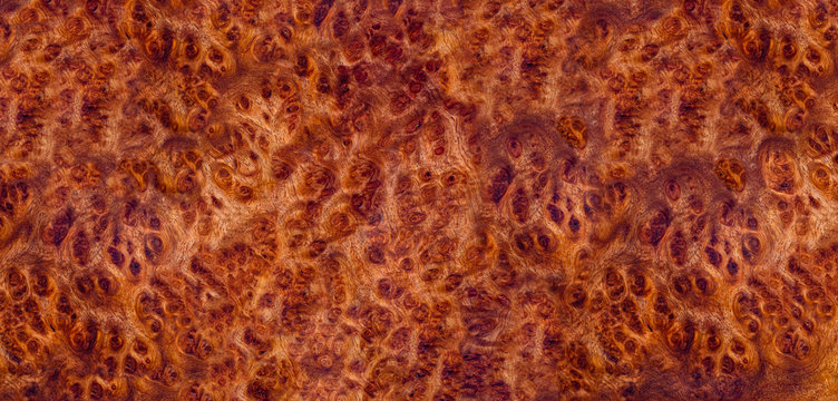 Nature afzelia burl wood striped