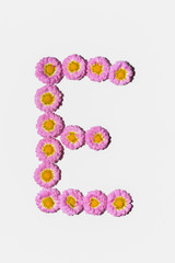 Chrysanthemum Alphabet