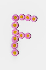 Chrysanthemum Alphabet
