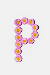 Chrysanthemum Alphabet
