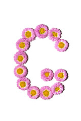 Chrysanthemum Alphabet