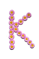 Chrysanthemum Alphabet