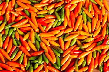 colorful chilli peppers on wooden table