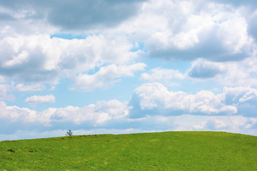 grassy meadow beneath a cloudy sky. wonderful sunny weather in springtime. beautiful countryside scenery with pasture on the hill