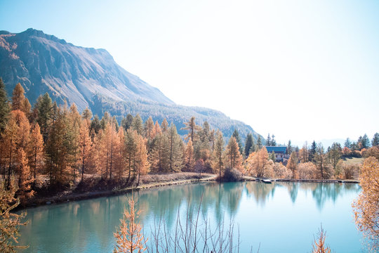 Lake