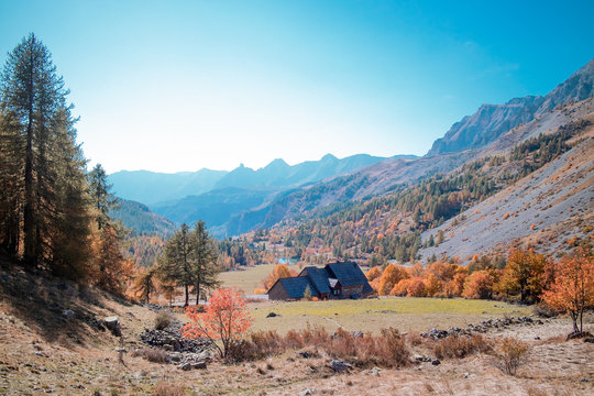 Mountains & Forest