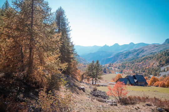 Mountains & Forest