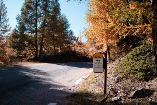 Road And Trees Autumns